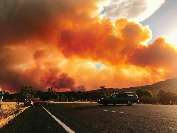 Cuộc chạy cháy rừng đáng sợ của chàng trai Việt ở Australia