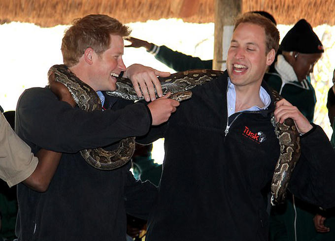 Harry nghịch ngợm cầu đầu một con tăn dí vào người anh trai trong chuyến đi đến châu Phi năm 2010.