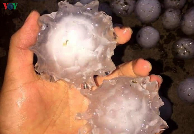 Hạt mưa đá rất có kích thước rất lớn có hình thù&nbsp;giống hệt ảnh vi điện tử Virus Corona. Ảnh: Vov.