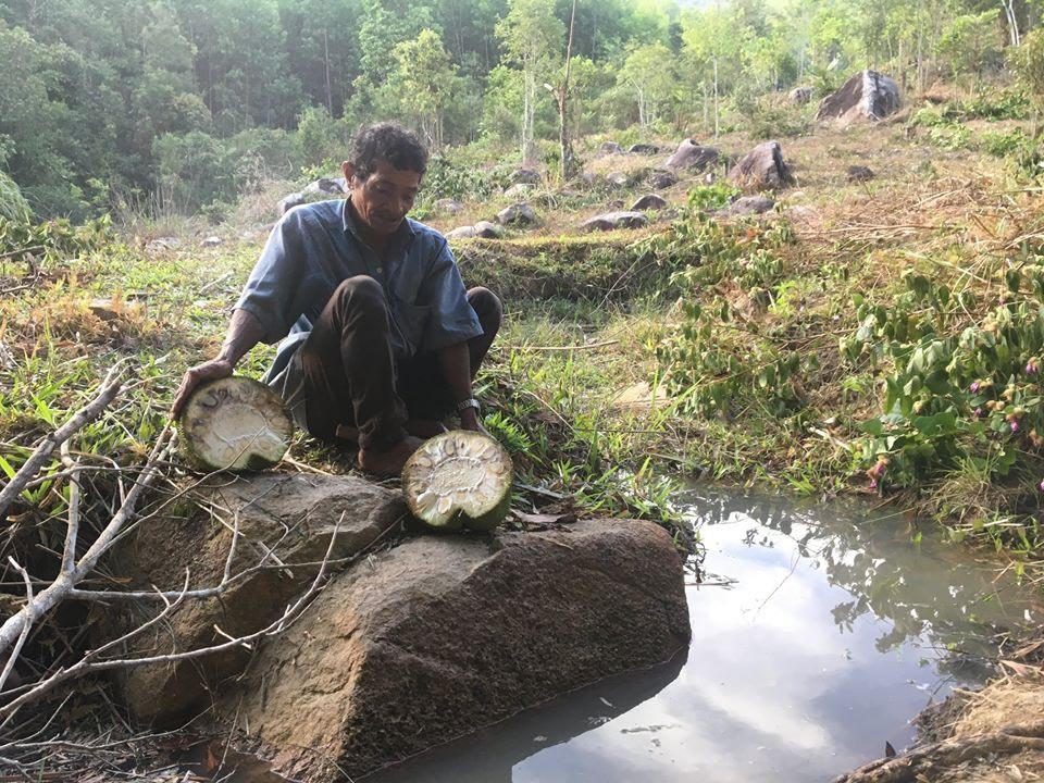 Nhật ký ở rừng của chàng trai Sài Gòn 'gây sốt'