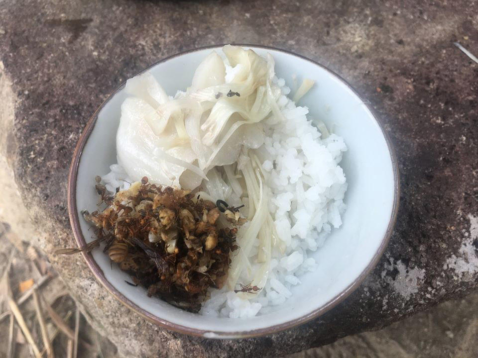 Nhật ký ở rừng của chàng trai Sài Gòn 'gây sốt'