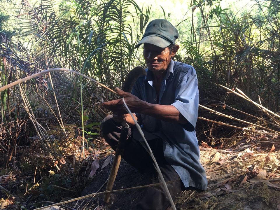 Nhật ký ở rừng của chàng trai Sài Gòn 'gây sốt'