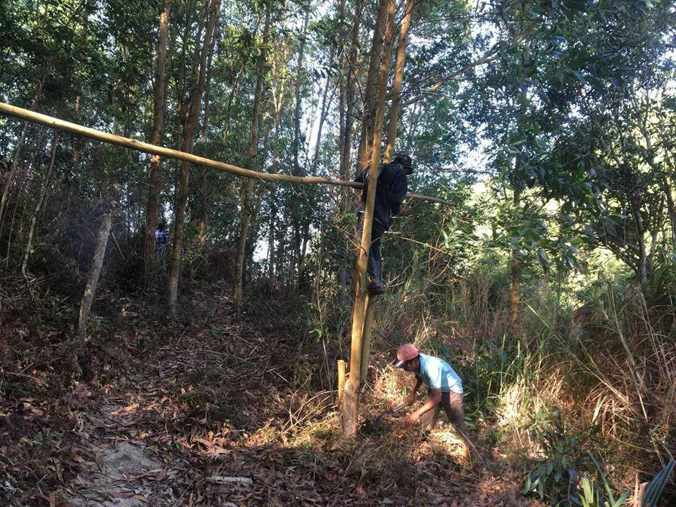 Nhật ký ở rừng của chàng trai Sài Gòn 'gây sốt'