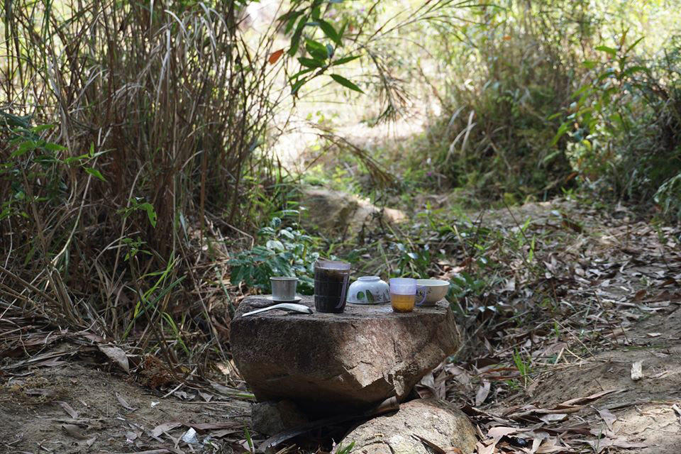 Nhật ký ở rừng của chàng trai Sài Gòn 'gây sốt'