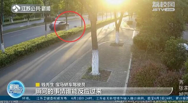 Thả rông chó khiến xe BMW tông vào, chủ vật nuôi phải đền nặng - 2