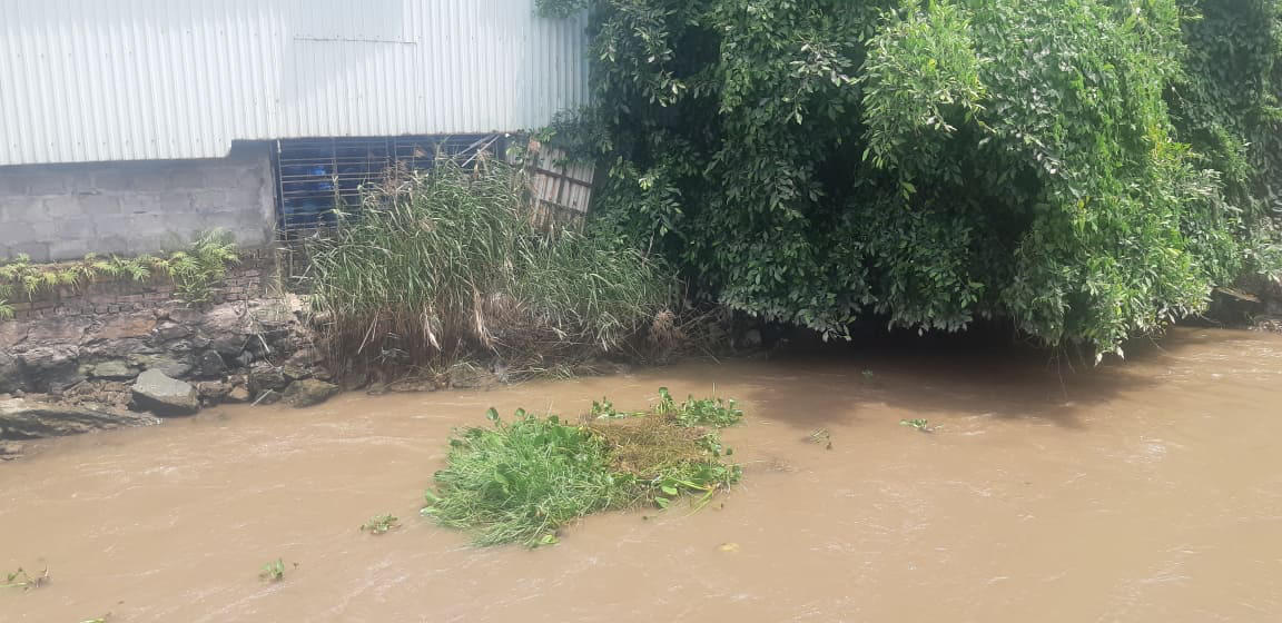 Cận cảnh mương nước ô nhiễm sản xuất thành nước uống đóng bình “tinh Khiết” - Ảnh 7.