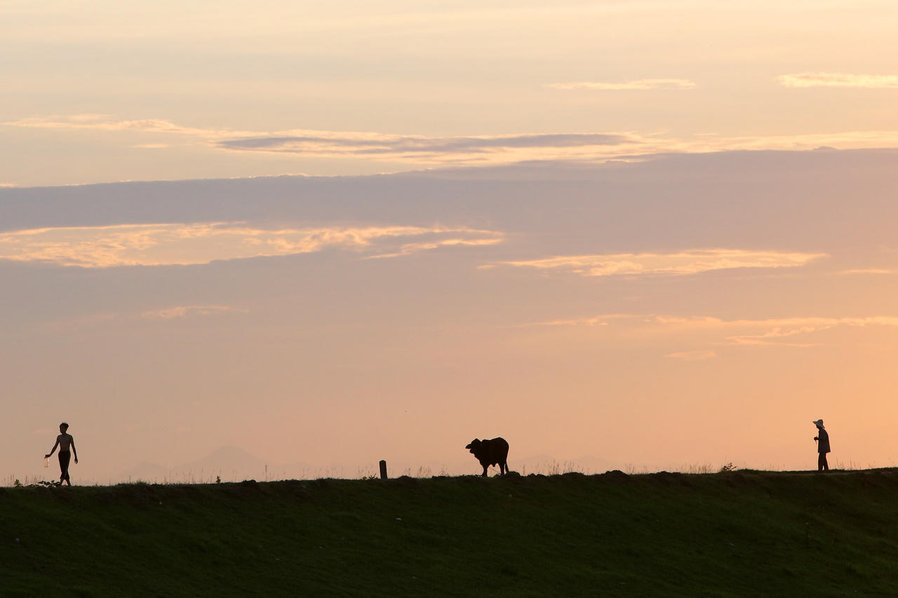 Phong cảnh bình yên nhìn từ những triền đê ở Hà Nội - 2