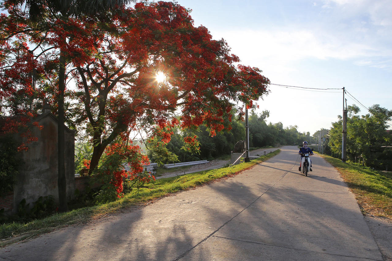 Phong cảnh bình yên nhìn từ những triền đê ở Hà Nội - 6
