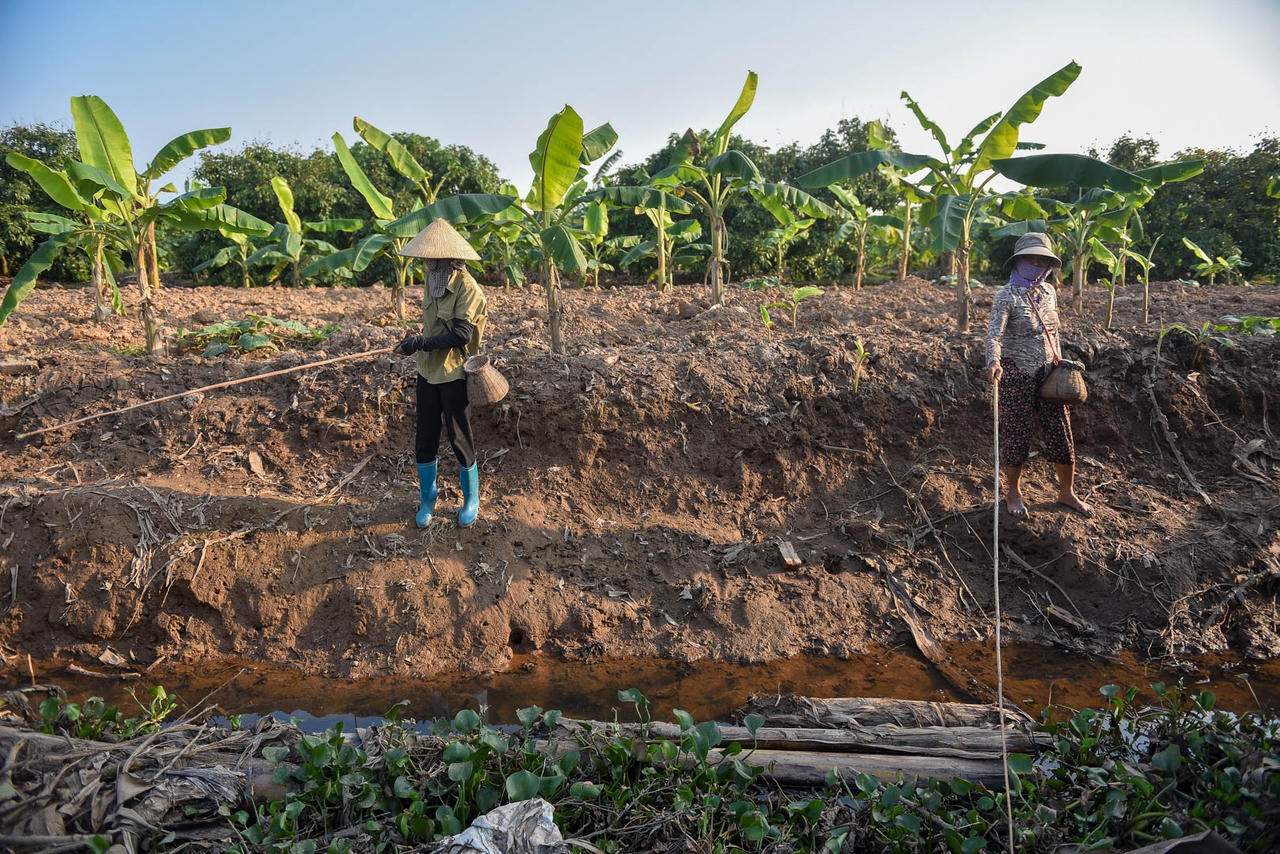 Câu con lộc trời cho: nông dân Hải Dương kiếm nửa triệu đồng mỗi ngày - 5