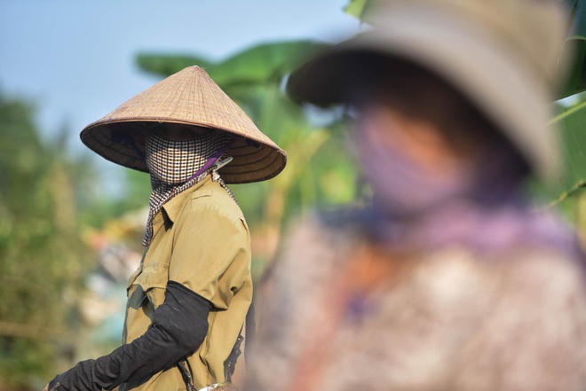 Câu con lộc trời cho: nông dân Hải Dương kiếm nửa triệu đồng mỗi ngày - 10