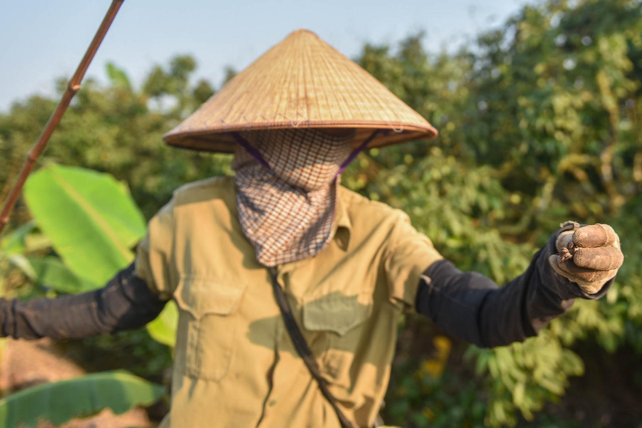 Câu con lộc trời cho: nông dân Hải Dương kiếm nửa triệu đồng mỗi ngày - 3