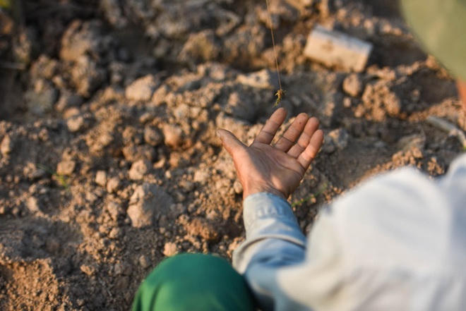 Câu con lộc trời cho: nông dân Hải Dương kiếm nửa triệu đồng mỗi ngày - 8