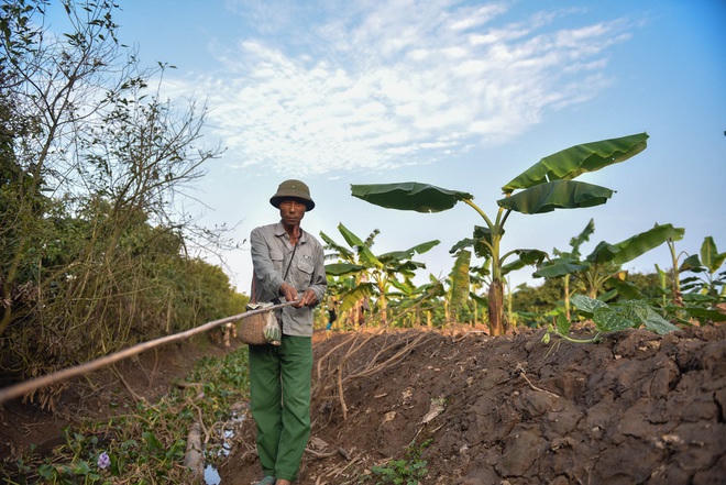 Câu con lộc trời cho: nông dân Hải Dương kiếm nửa triệu đồng mỗi ngày - 6