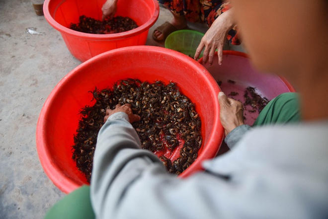 Câu con lộc trời cho: nông dân Hải Dương kiếm nửa triệu đồng mỗi ngày - 18