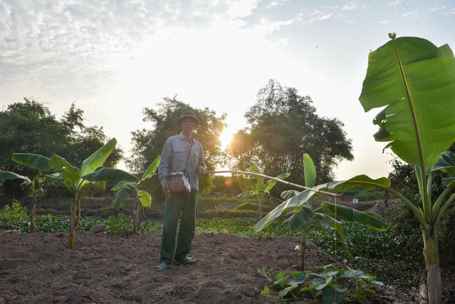 Câu con lộc trời cho: nông dân Hải Dương kiếm nửa triệu đồng mỗi ngày - 9