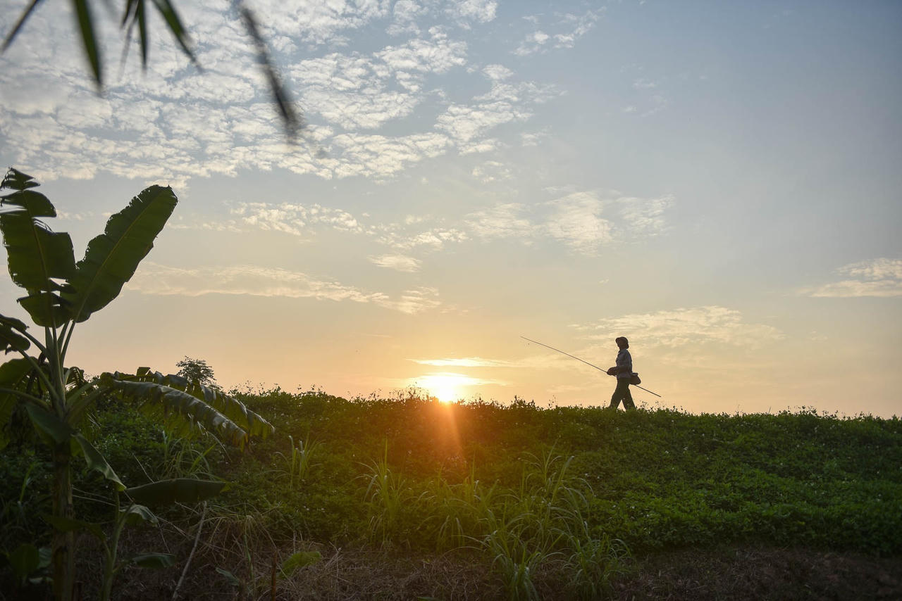 Câu con lộc trời cho: nông dân Hải Dương kiếm nửa triệu đồng mỗi ngày - 19
