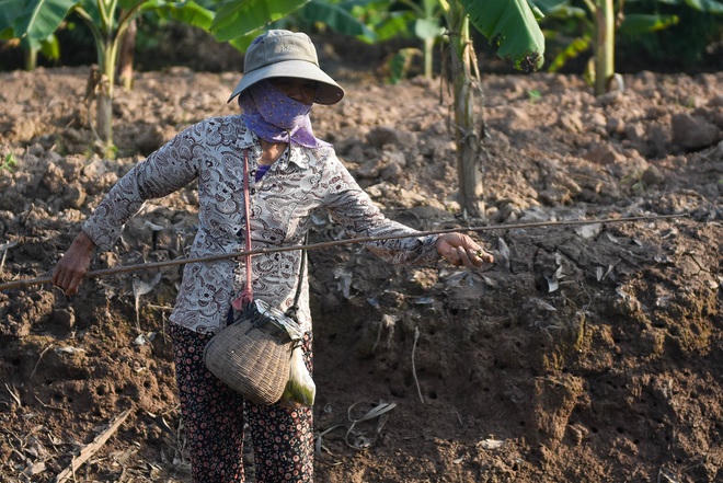 Câu con lộc trời cho: nông dân Hải Dương kiếm nửa triệu đồng mỗi ngày - 16