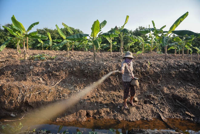 Câu con lộc trời cho: nông dân Hải Dương kiếm nửa triệu đồng mỗi ngày - 15