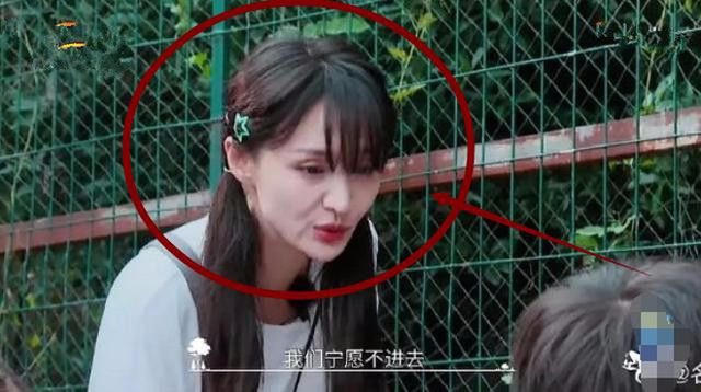 Gương mặt thời thanh xuân chưa chỉnh sửa của Trịnh Sảng khiến fan tiếc nuối - 15