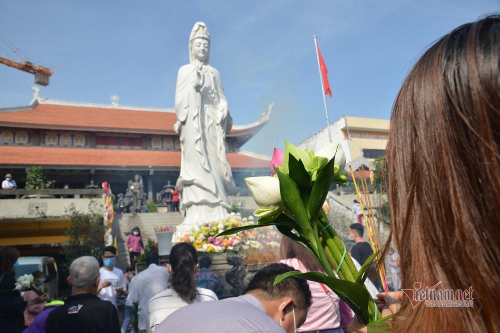 Cá phóng sinh Rằm tháng Bảy chưa kịp bơi đã bị chích điện