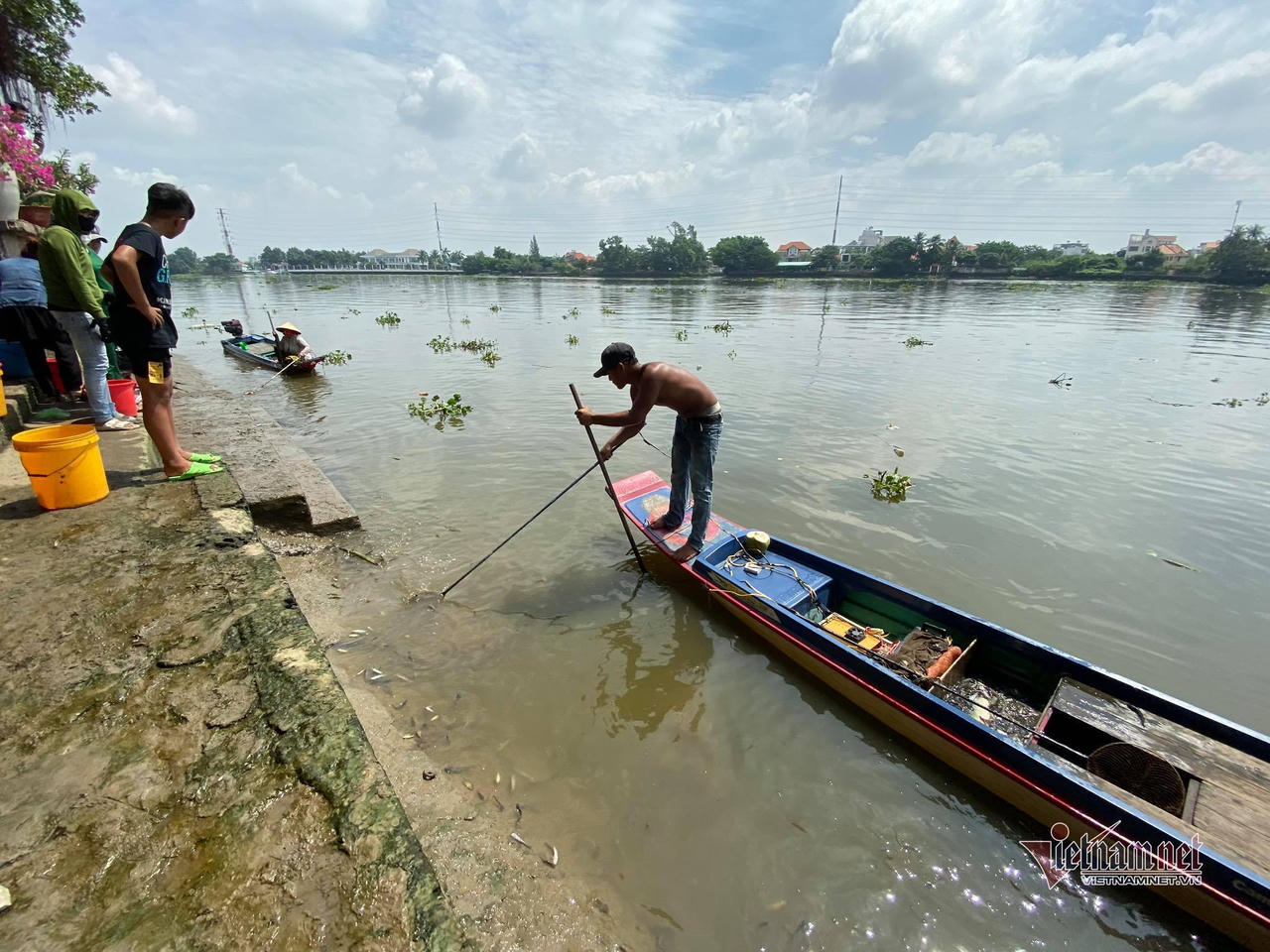 Cá phóng sinh Rằm tháng Bảy chưa kịp bơi đã bị chích điện