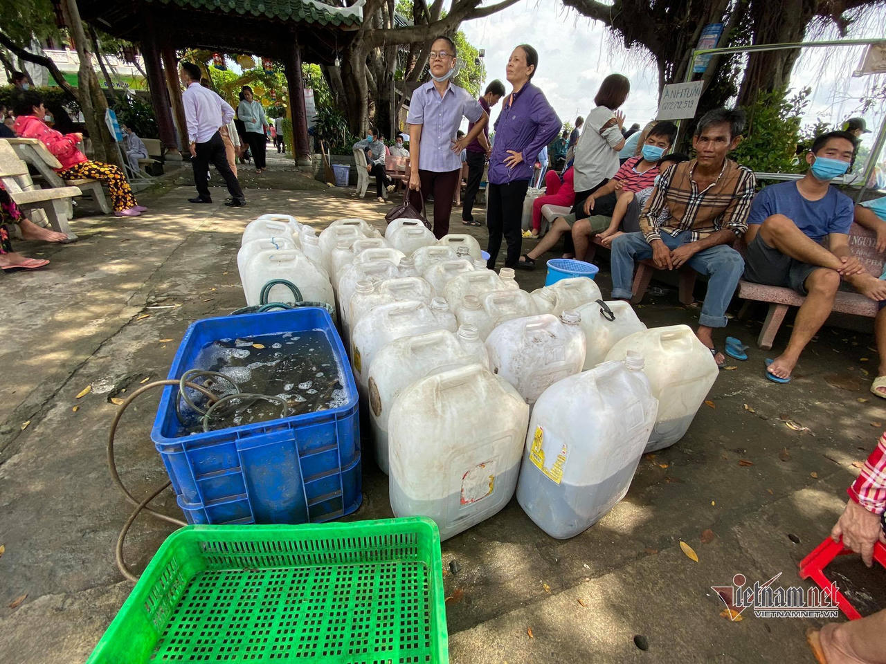 Cá phóng sinh Rằm tháng Bảy chưa kịp bơi đã bị chích điện