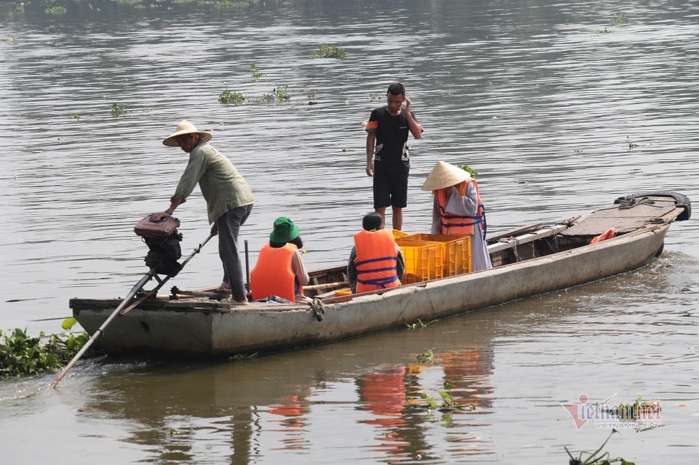 Cá phóng sinh Rằm tháng Bảy chưa kịp bơi đã bị chích điện