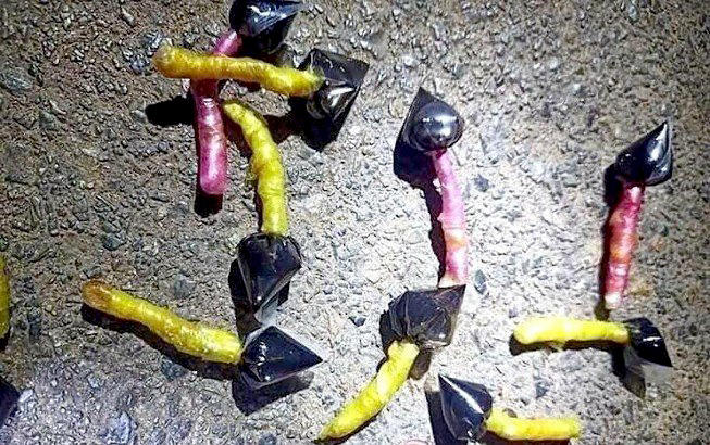 Cảnh báo chết người từ những viên kẹo mút sặc sỡ trên đường