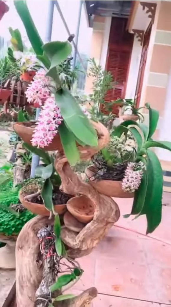 Lộ cơ ngơi hoành tráng ở quê của Hoa hậu Đỗ Thị Hà sau ảnh 'cô gái nông dân' gây sốt