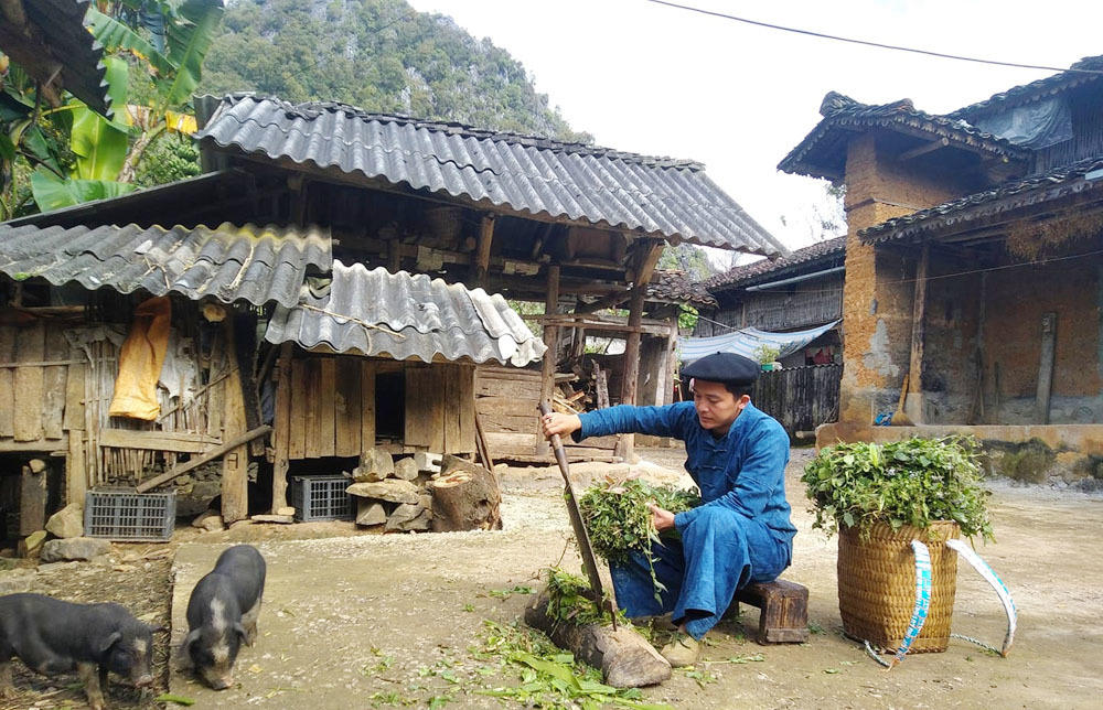 Khách Tây bất ngờ đến nhà, chàng trai H'Mông 'trúng' lớn