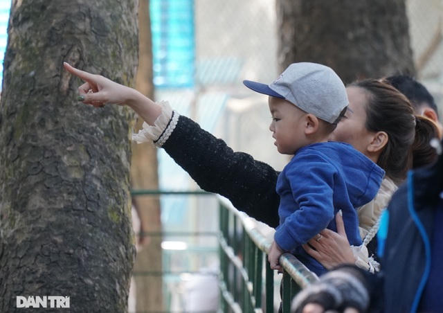 Các khu vui chơi ở Hà Nội đông nghịt người ngày đầu năm mới - 13