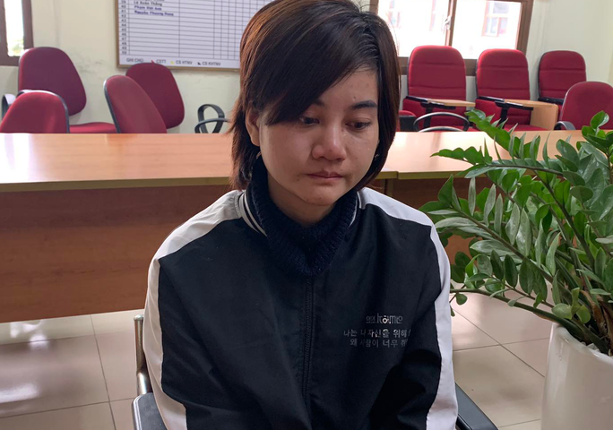 Triệt phá đường dây mang thai hộ giá tới 500 triệu đồng/lần - Ảnh 1. Triệt phá đường dây mang thai hộ giá tới 500 triệu đồng/lần - Ảnh 1.