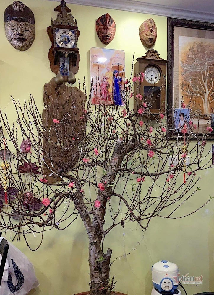 Mâm cỗ cúng Táo Quân của Công Lý, Tự Long, Hoàng Trang VTV