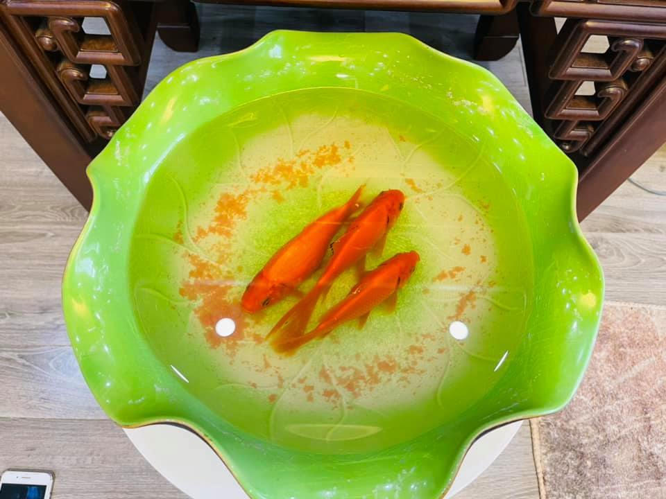 Mâm cỗ cúng Táo Quân của Công Lý, Tự Long, Hoàng Trang VTV