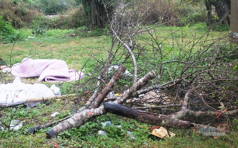 Mưa cả ngày, lái buôn vứt quất, đào đầy đường