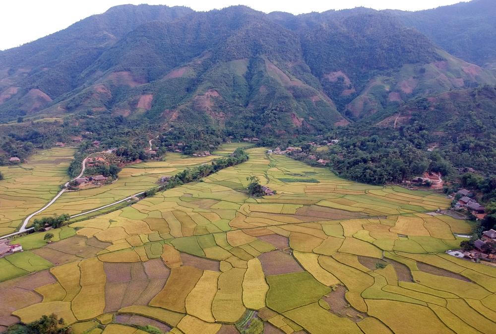 Mê mẩn mùa vàng bên dòng Nậm Luông 