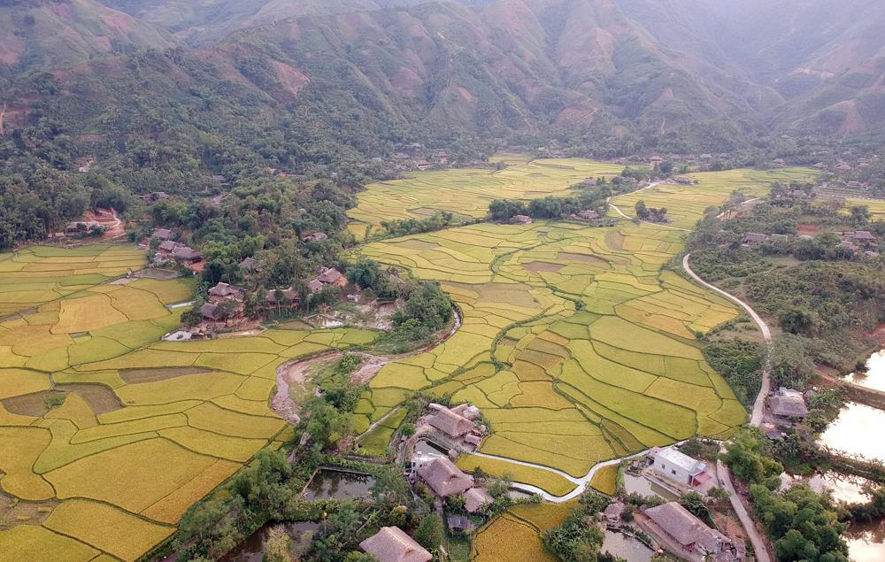 Mê mẩn mùa vàng bên dòng Nậm Luông 