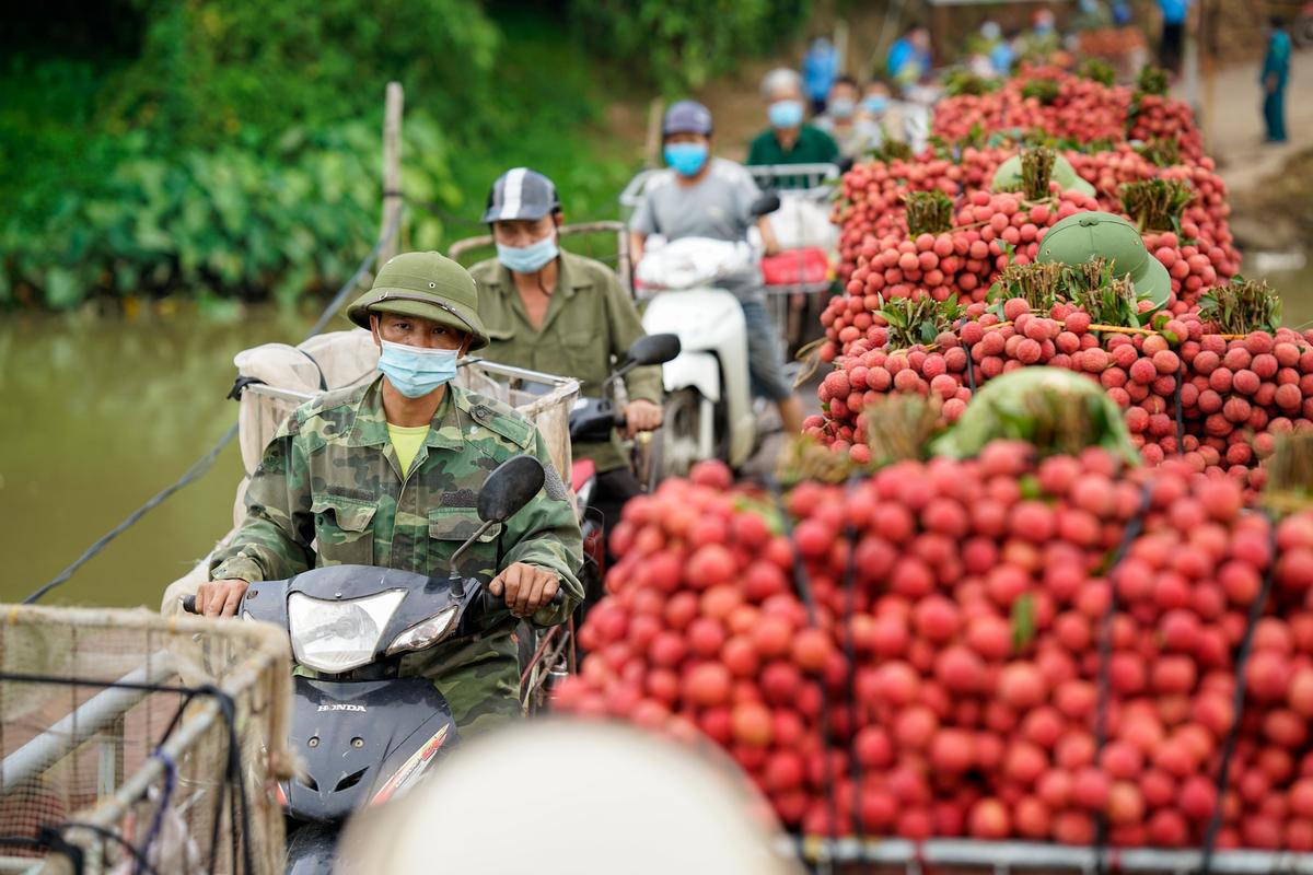 Cây cầu 'tử thần' với người bán vải ở Bắc Giang