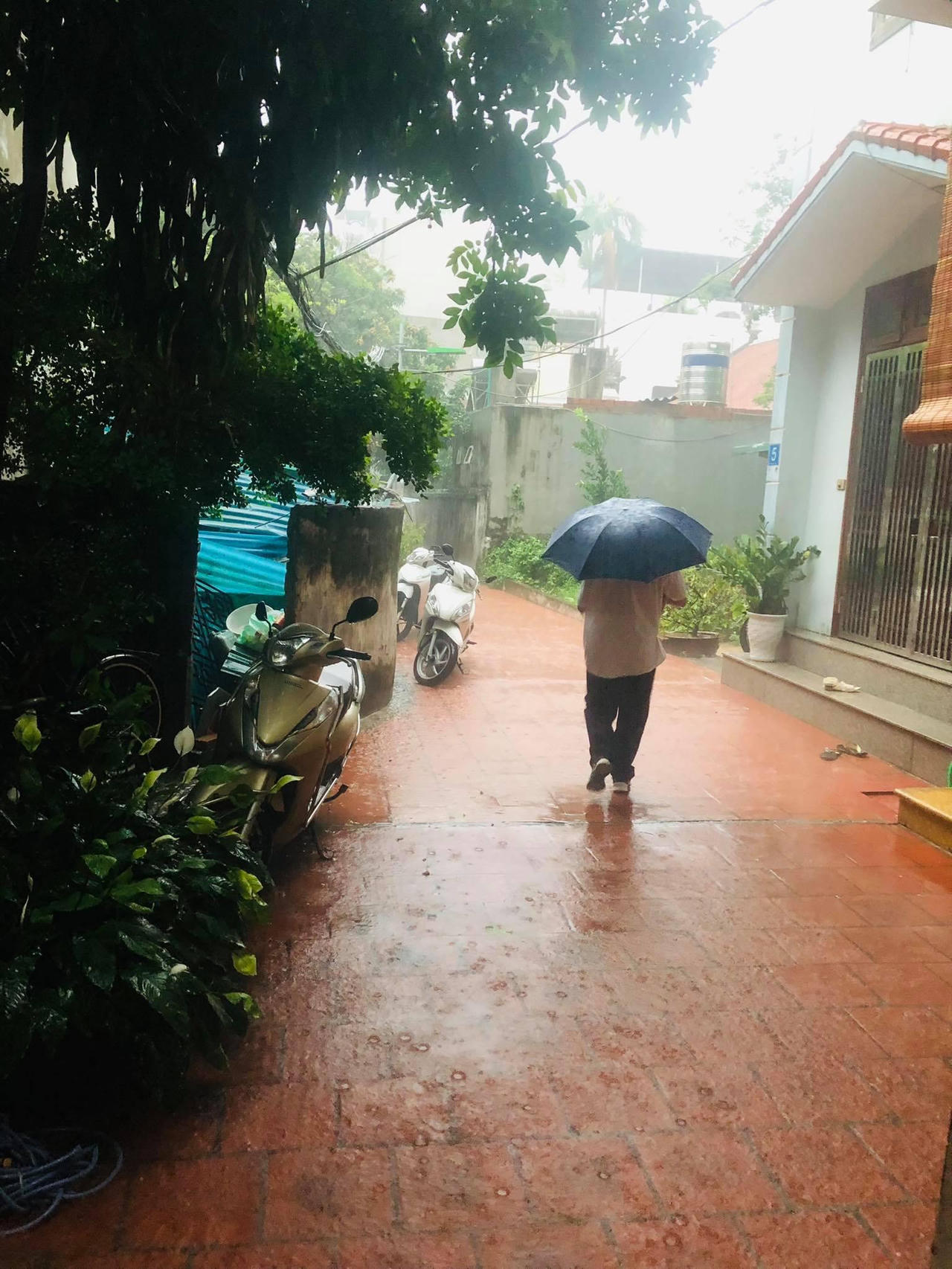 Thí sinh Hà Nội đội mưa tầm tã đi thi vào lớp 10