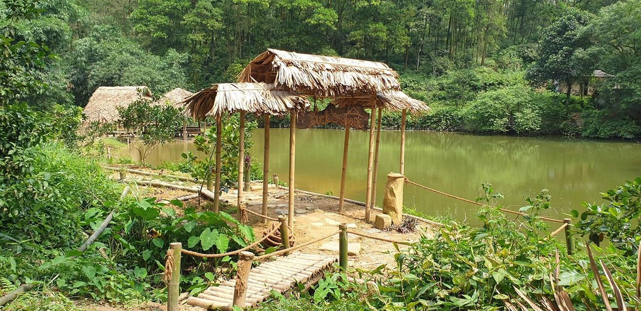 Chàng trai vào rừng làm 'ngôi nhà không của ai cả'