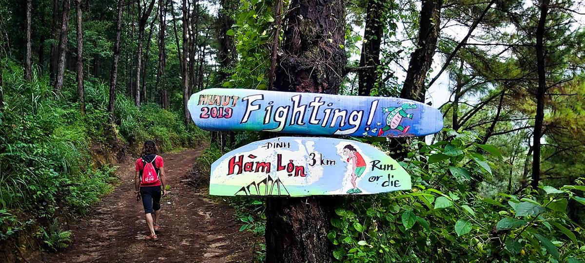 Chàng trai vào rừng làm 'ngôi nhà không của ai cả'