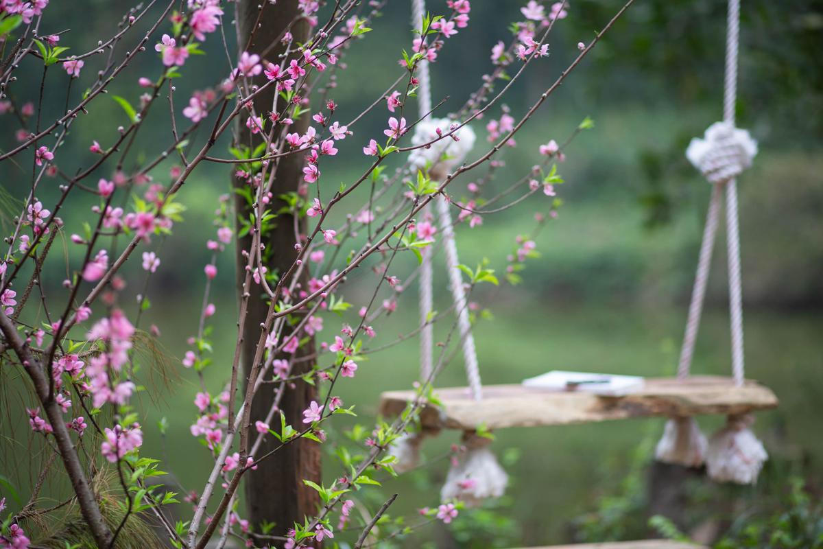 Chàng trai vào rừng làm 'ngôi nhà không của ai cả'