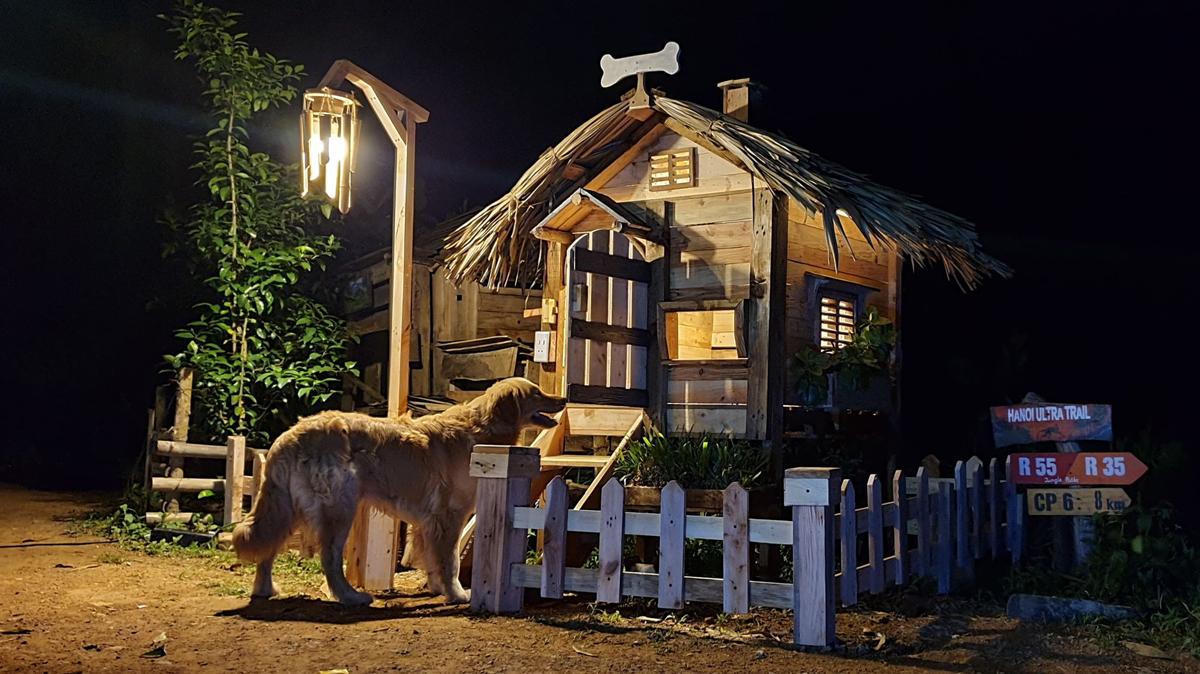 Chàng trai vào rừng làm 'ngôi nhà không của ai cả'