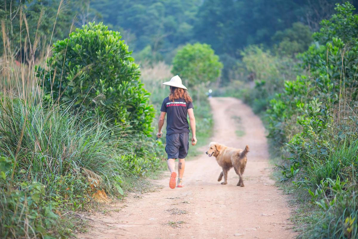 Chàng trai vào rừng làm 'ngôi nhà không của ai cả'