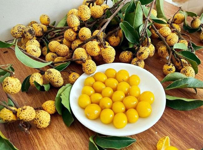 4 loại quả rừng 'giá chát' vẫn được lùng mua 