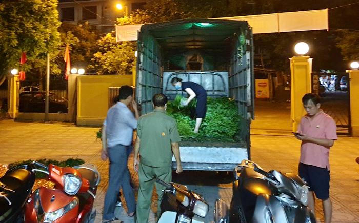 An yên cảnh 30 'vùng xanh an toàn' tại Hà Nội