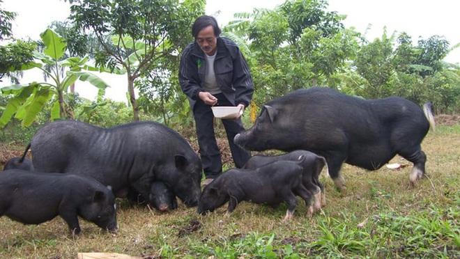 NS Giang Còi: Hôn nhân lỡ dở, gà trống nuôi con và nỗi ân hận lớn nhất