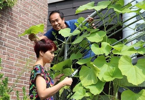 Bí quyết 'trốn' trong nhà tránh dịch của cặp vợ chồng Việt