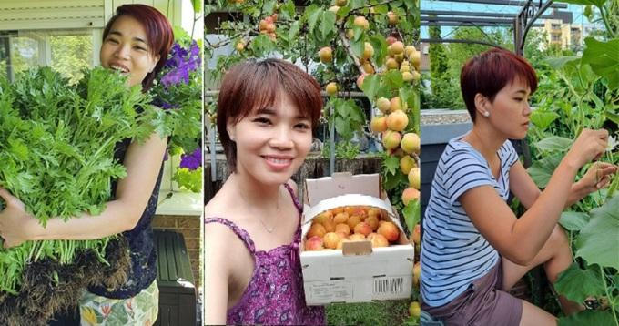 Bí quyết 'trốn' trong nhà tránh dịch của cặp vợ chồng Việt