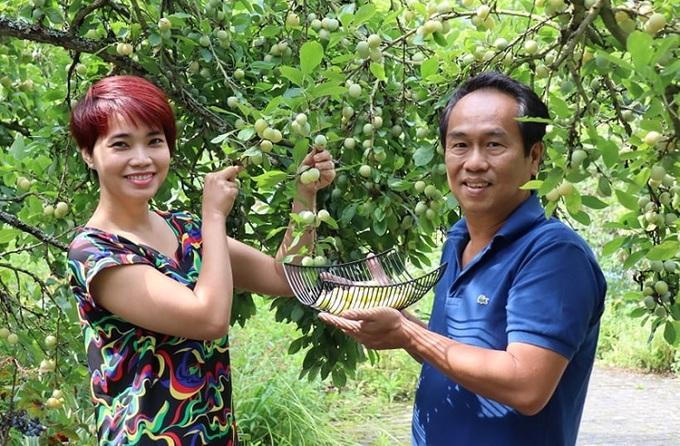 Bí quyết 'trốn' trong nhà tránh dịch của cặp vợ chồng Việt